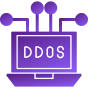 Web developers